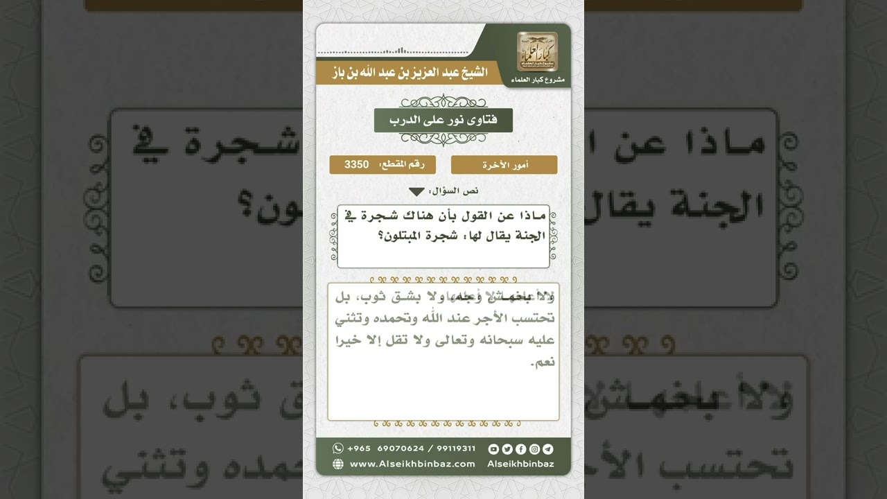 3350 - القول بأن هناك شجرة في الجنة يقال لها شجرة المبتلون - نور على الدرب