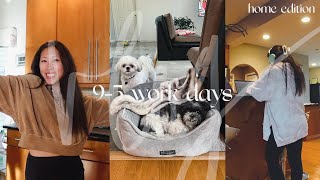 9-5 WORK DAYS *HOMETOWN EDITION* deadline week, puppy & house sitting, keeping routine, social reset