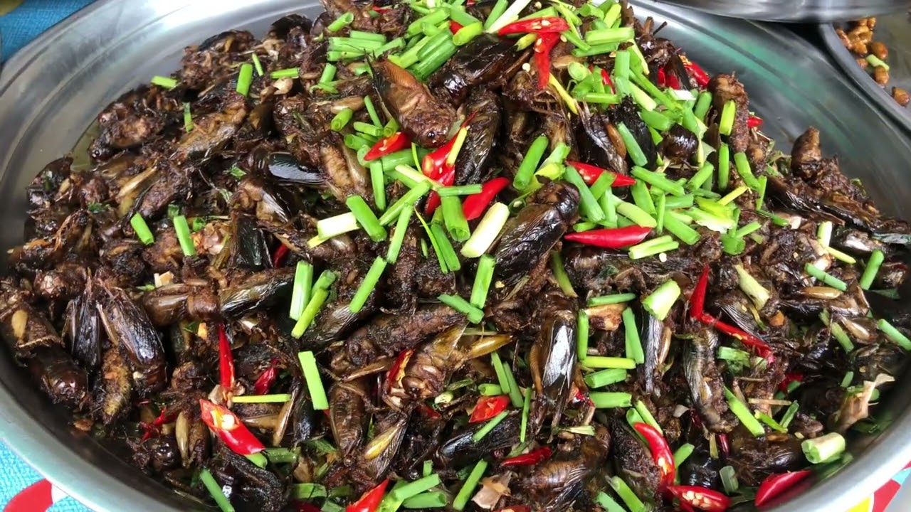 Most popular Cambodian Village and Street Foods, Fried Cricket, Wild Spider, Bug and Silkworm & More