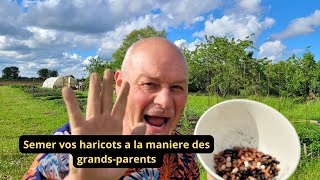 Comment semer vos haricots a la maniére de mon beau-père