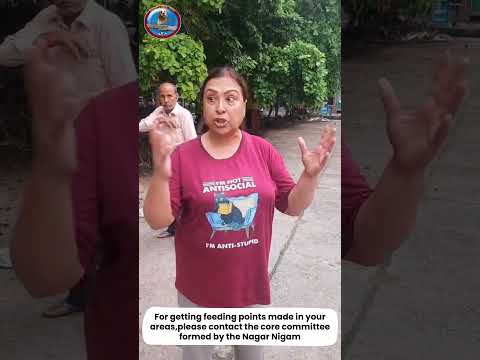 Feeding Points To Save Desi Dogs Stop Harassment Start Humanity 