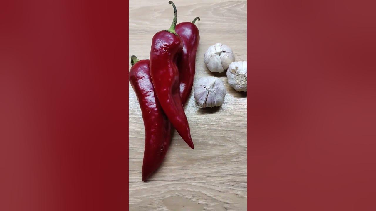 what-can-you-cook-with-it-youtube