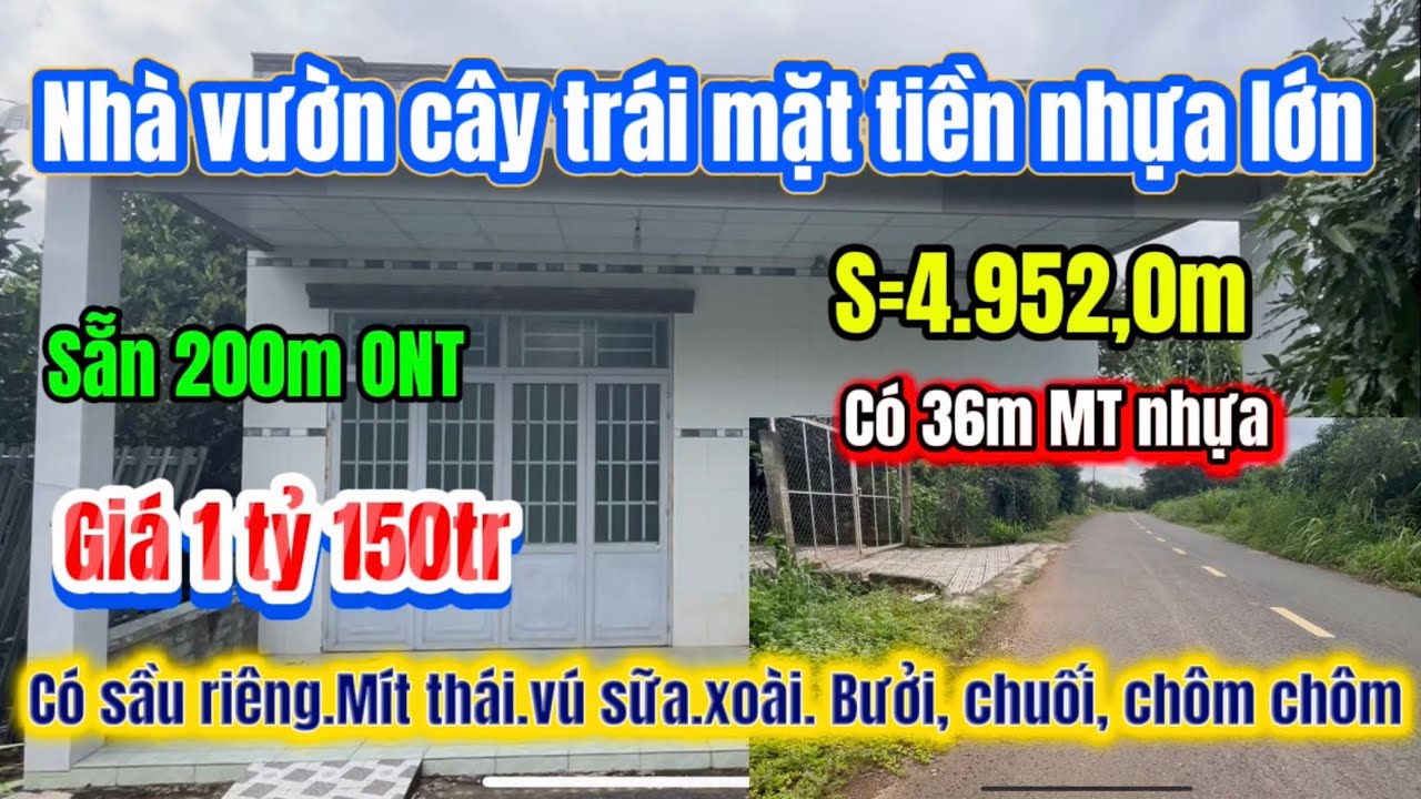 477🌹 Đã Bán 🌹nhà vườn cây ăn trái mặt tiền đường nhựa lớn ngay khu dân cư sẵn 200m ONT 