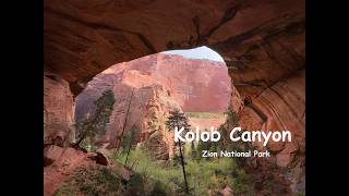 Kolob Canyon in Zion National Park - Flowing water, Double Arch Alcove and historic cabins