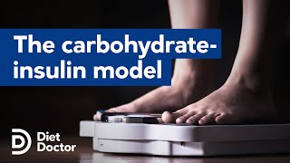 Is the carbohydrateinsulin model of obesity dead? – Interview with Dr. Ted Naiman