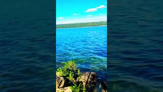 Shorts #shorts #shortsfeed #trendingshorts #instantwatch #viralvideo