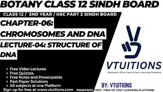 Structure of DNA | Chapter-06: Chromosomes and DNA | Botany XII | Class 12 Sindh Board