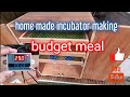 150-250 egg capacity incubator | budget meal incubator