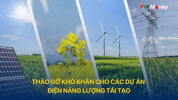 Tháo gỡ khó khăn cho các dự án điện năng lượng tái tạo | VTVMoney