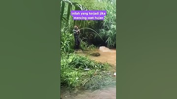 Mancing di sungai saat hujan #fishing #mancing #ikan