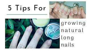 How to Grow Natural Nails l 5 Tips