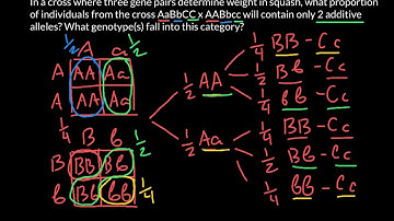 How to use forked-line method to solve probability problems in Genetics