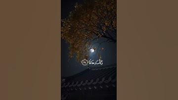 القارئ :أحمد حمادي ﴿ إِنَّ لِلۡمُتَّقِينَ مَفَازًا حَدَآئِقَ وَأَعۡنَٰبٗا ﴾[ النبأ: 31]