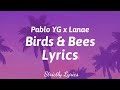 Pablo YG X Lanae Birds Bees Lyrics Strictly Lyrics mp3