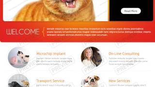 Vet Website Template Guide