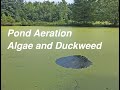 Solar pond aeration to eliminate algae and duckweed