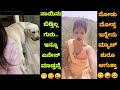 Kannada reels troll part  100  kannada instagram reels troll  troll ka 36