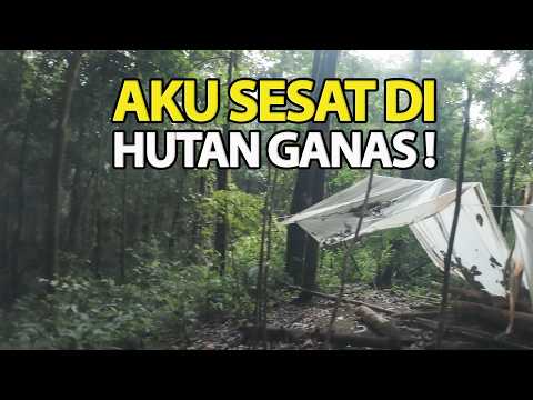 Misteri Sesat Keseorangan di Hutan Ganas. Mungkin ini petanda orang sesat di hutan. Camping Hiking