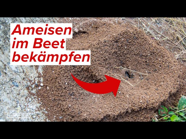 blumenständer balkon metall BACEKOLL 8 Ebenen Blumenständer 157cm - Metall-Holz Pflanzenregal main image 1