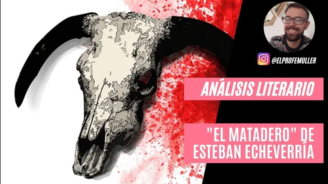 Explicación del texto 