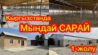 Мындай САРАЙ Кыргызстанда 1-жолу КУРУЛДУ  |  Көрсөң, ТАҢ КАЛАСЫҢ  |  САТЫЛАТ экен