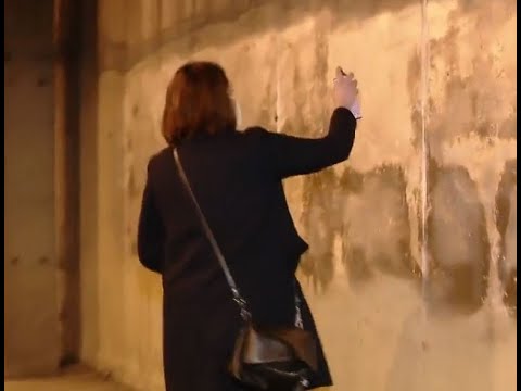 ჰელენ ხოშტარია ხულიგნობას აგრძელებს