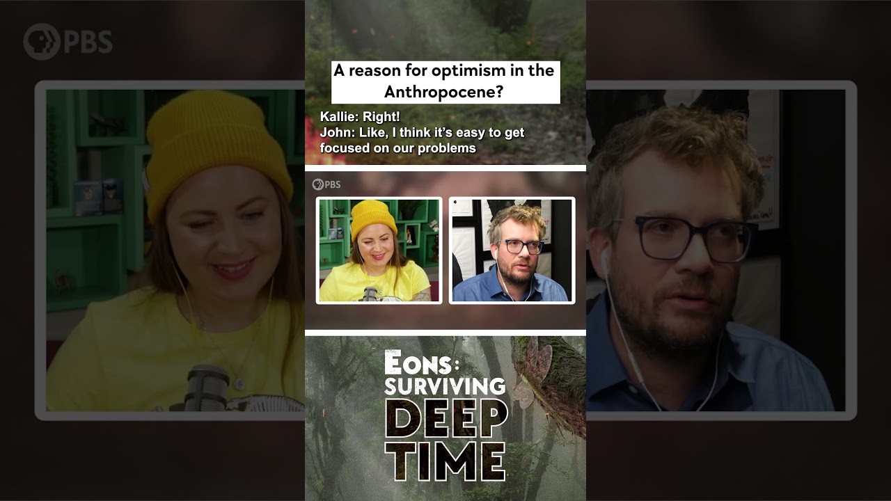 A reason for optimism in the Anthropocene? (with John Green)