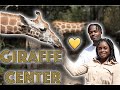 GoodwinSZN Travel: Visiting The Giraffe Center In Nairobe, Kenya