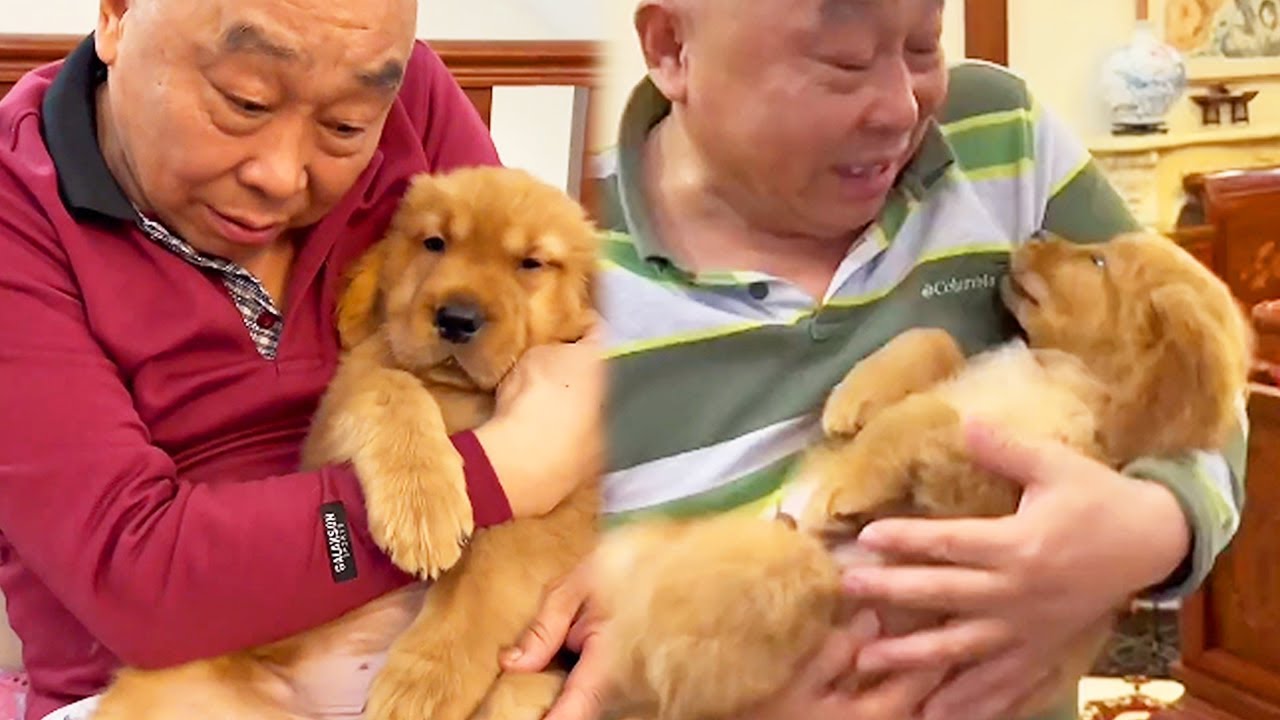 作家物 金工師 如湖作 仔犬 白銅 770g 打造自己的金工飾物: 27件銀與銅