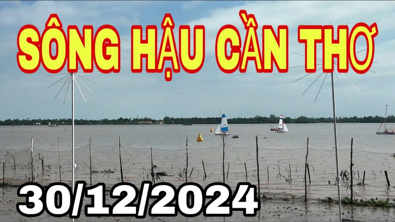 ĐUA THUYỀN TRÊN SÔNG HẬU TP CẦN THƠ🌺30/12/2024🌺cần thơ ký sự