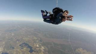 Swoopware: Skydive - DJ