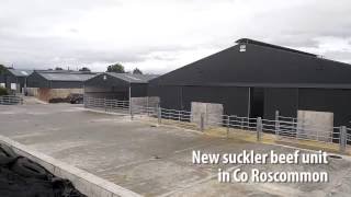Farm buildings: 4 bay double sided suckler shed As part of this week