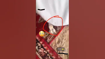 رجله رجل حمار 