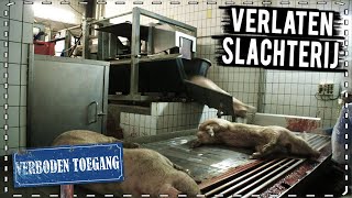 VERLATEN HORROR SLACHTERIJ......