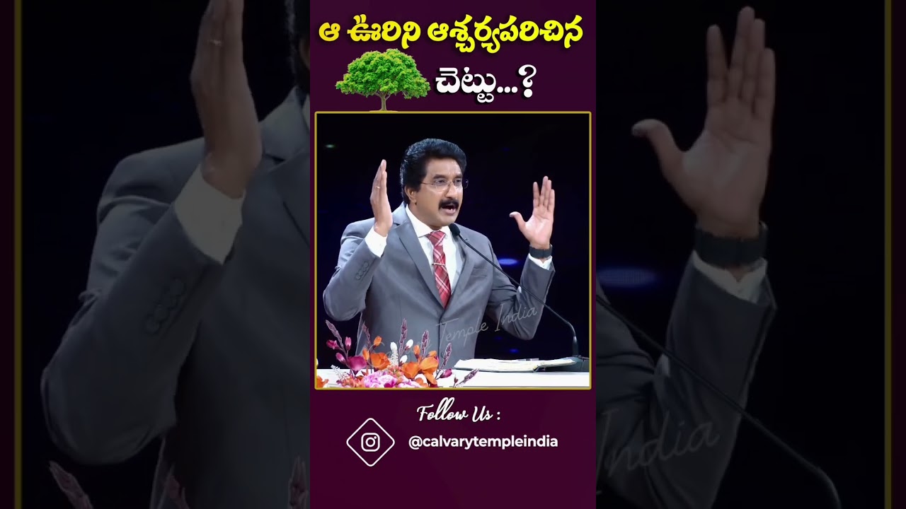 ఆ ఊరిని ఆశ్చర్యపరిచిన చెట్టు..? | Short Message by  