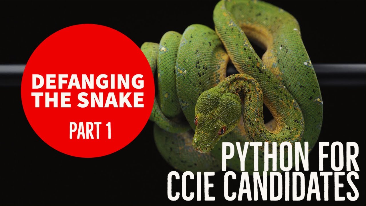 Introduction To Python - YouTube