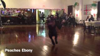 School House Rock Ball - OTA Performance (10s)