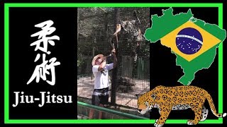 CYBORG CHARMING PANTHER IN THE JUNGLE BRAZIL | ONCA PINTADA