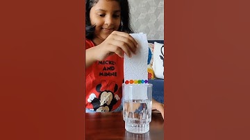 Capillary Action Science Experiment | Fun and Easy School Science Project