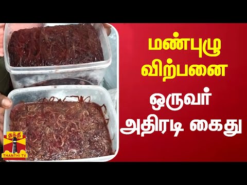 ச வப ப ந ற உவர ந ர மண ப ழ வ ற பன ஒர வர அத ரட க த Chengalpattu Erathworms