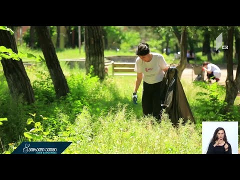 პირადი ექიმის გუნდი - პლოგინგი, როგორც ცხოვრების წესი