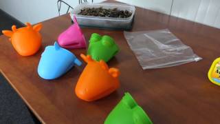 Brain games for your dog: The oven mitt screenshot 5