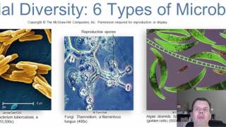 Chapter 1   Introduction to Microbiology