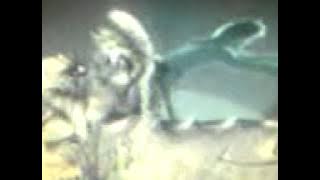 Kamen Rider Faiz- Wolf Orphenoch VS Horse Orphenoch