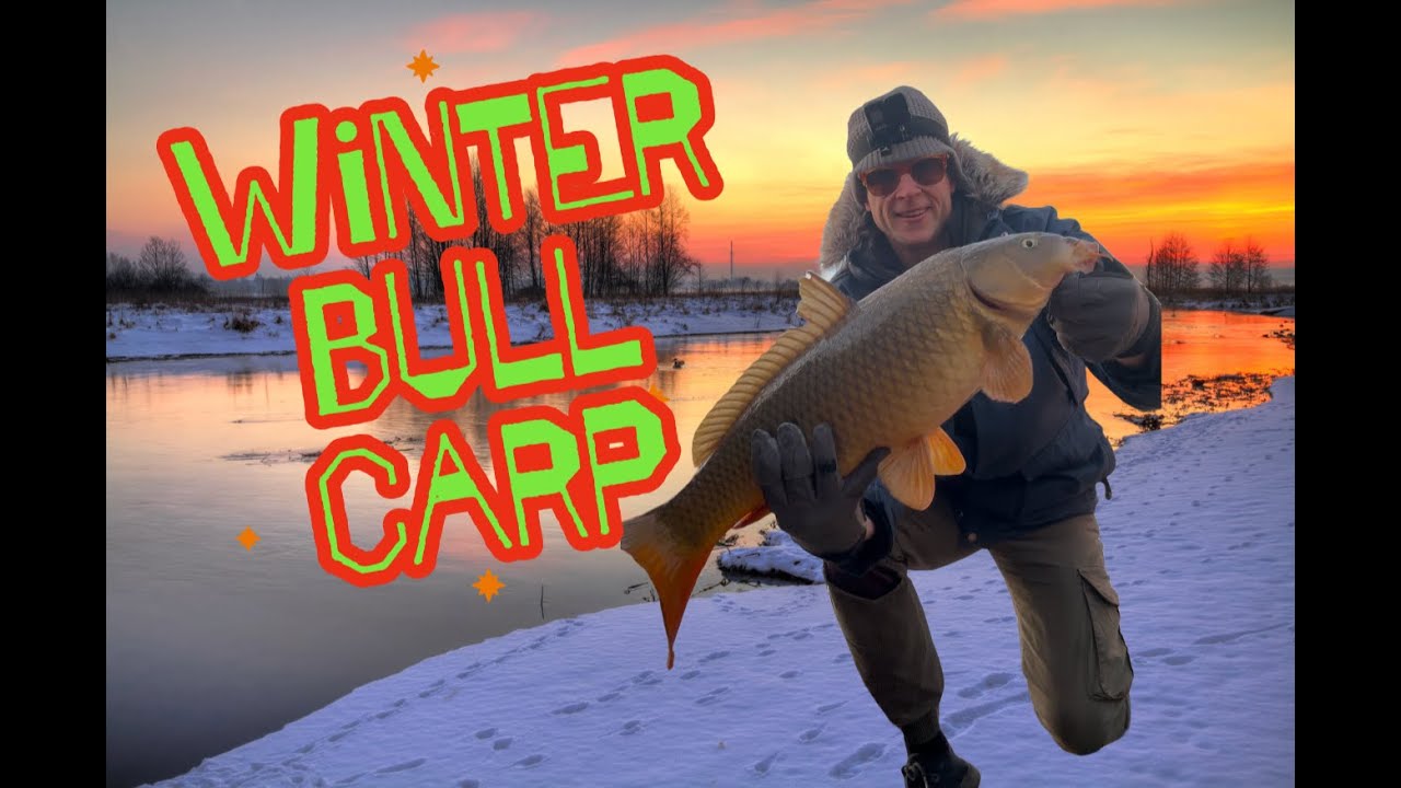 Winter Bull Carp - YouTube