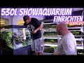 Mega 530l showaquarium bei zooboxde fr aquaexpo messe einrichten