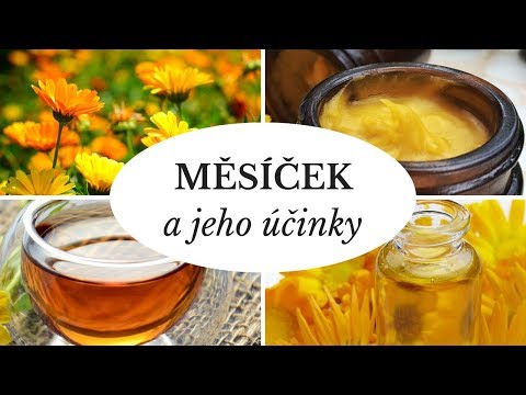 Video: Měsíček: Druhy, Odrůdy, Pěstování A Použití