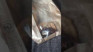 Trying Lidl Bakery Cookies