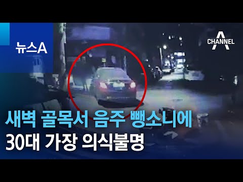 새벽 골목서 음주 뺑소니에 30대 가장 의식불명 | 뉴스A