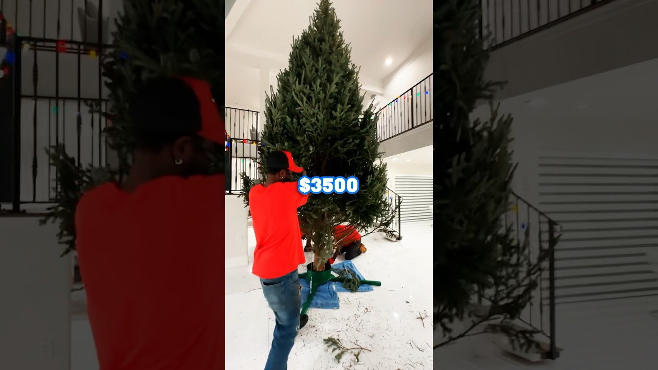 I Bought The Most Expensive Christmas Tree! @mckinleyrichardsonnn